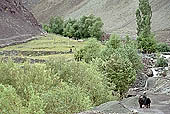 Ladakh - Valley of the Alchi village